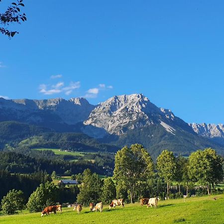 Bauernhof Neu-Endfelden, Guenter Widauer Villa Söll Exterior foto