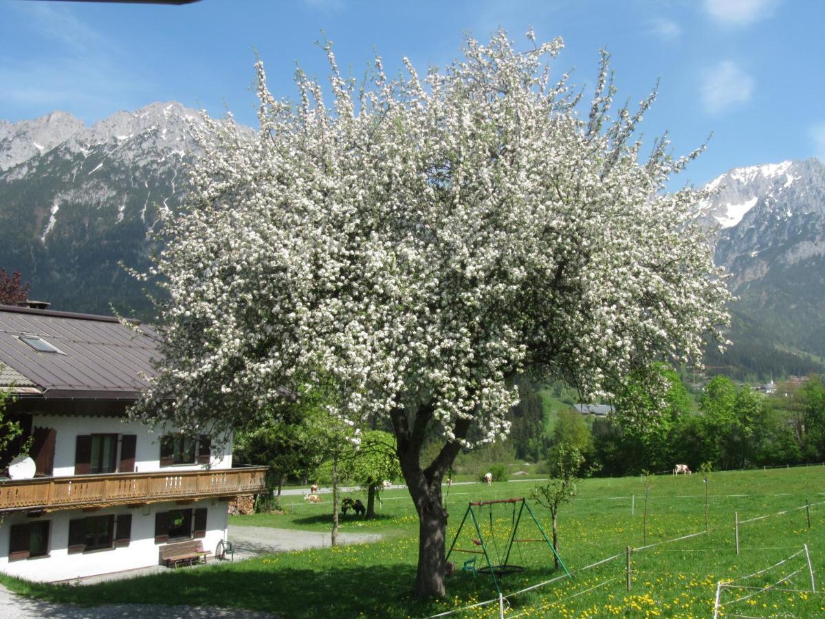 Bauernhof Neu-Endfelden, Guenter Widauer Villa Söll Exterior foto